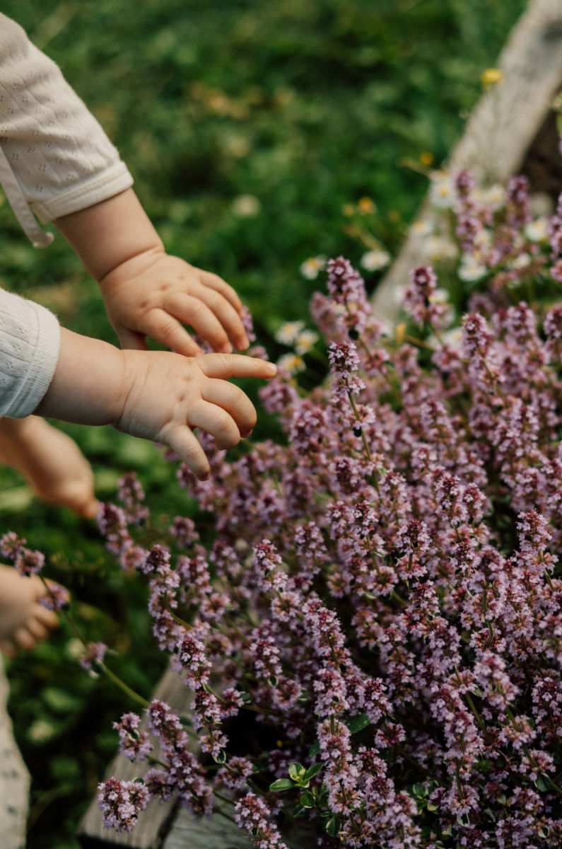 Villagehood community